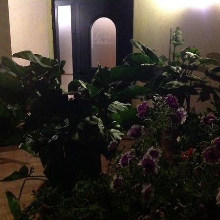 Veroli L' Aia Antica Bed & Breakfast エクステリア 写真