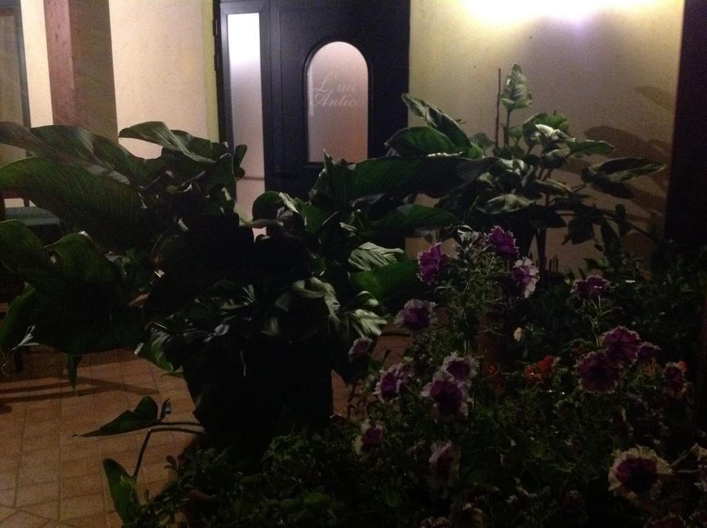 Veroli L' Aia Antica Bed & Breakfast エクステリア 写真